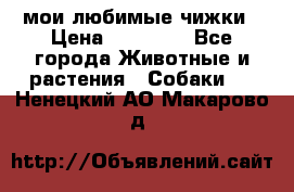 мои любимые чижки › Цена ­ 15 000 - Все города Животные и растения » Собаки   . Ненецкий АО,Макарово д.